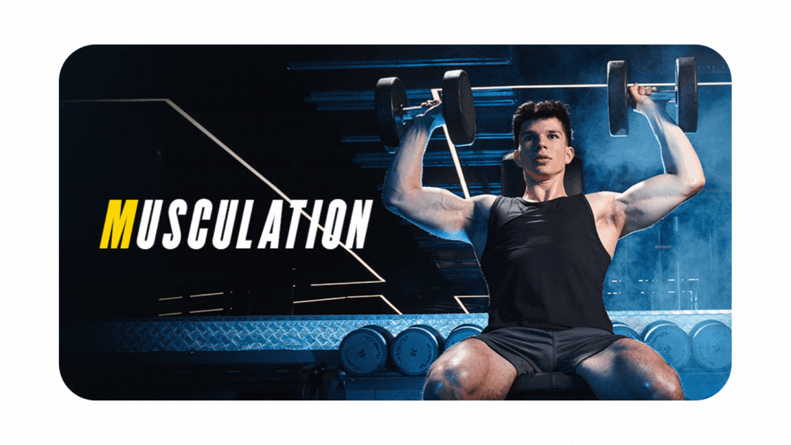 Musculation